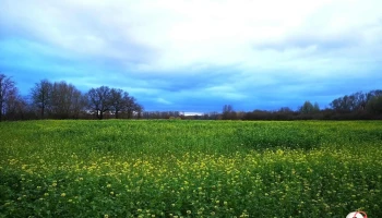 Am Schörmelgraben 100-Schlösser-Route in Sendenhorst - Deutschland Am Schörmelgraben 100-Schlösser-Route in Sendenhorst - Deutschland