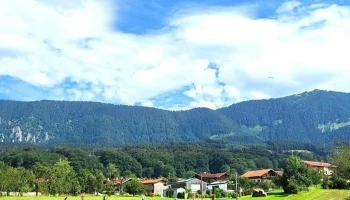 Bauerngolf Samerberg - Das etwas andere Golferlebnis auf der Kuhweide - 83122 Samerberg