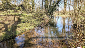 Burgruine Mesendorf - Deutschland Burgruine Mesendorf - Deutschland