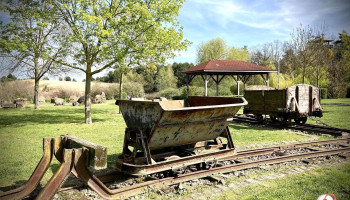 Elb-aue GmbH Plötzky - 39245 Schönebeck (Elbe) Elb-aue GmbH Plötzky - 39245 Schönebeck (Elbe)