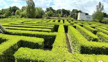 Irrgarten - 06648 Eckartsberga
