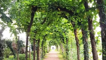 Laubengänge Schloss Bedburg - Deutschland