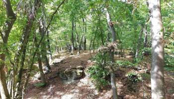 Leuchtenburg Burgstall (Burgstätte) - Deutschland