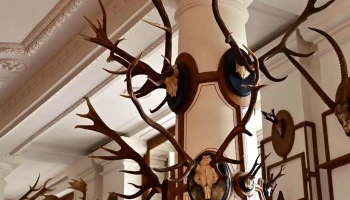 Ludwigsluster Schloss-Café - Ludwigslust
