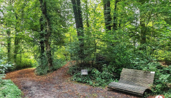 Mittelalterliche Turmhügelburg - Deutschland Mittelalterliche Turmhügelburg - Deutschland