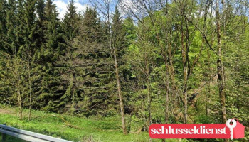 Motte Haidenschloss - 95482 Gefrees