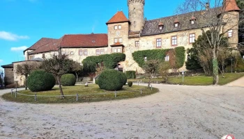 Schlosspark Schloss Hohenstein - Ahorn