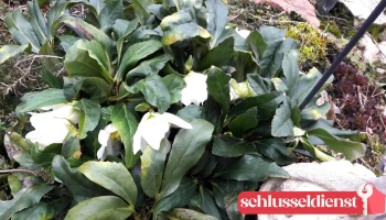 Schlüsseldienst Behr Nachf. - 06179 Teutschenthal