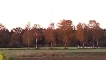 Simon GmbH - 34123 Kassel Simon GmbH - 34123 Kassel