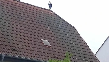 Stahl- und Behälterbau Krüger GmbH - 14727 Premnitz