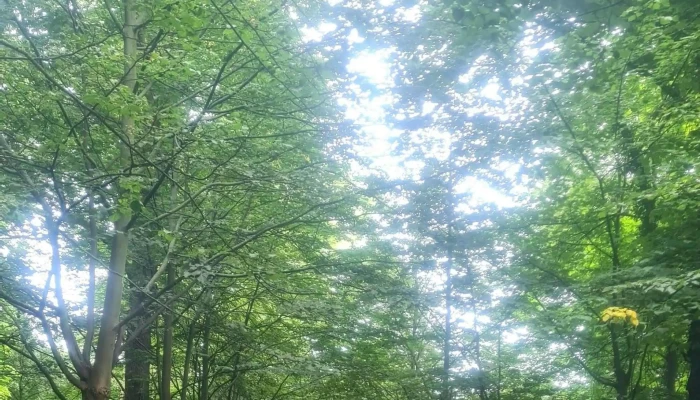 Altes Gutshaus Gross Schwansee Wegbeschreibung - Kalkhorst