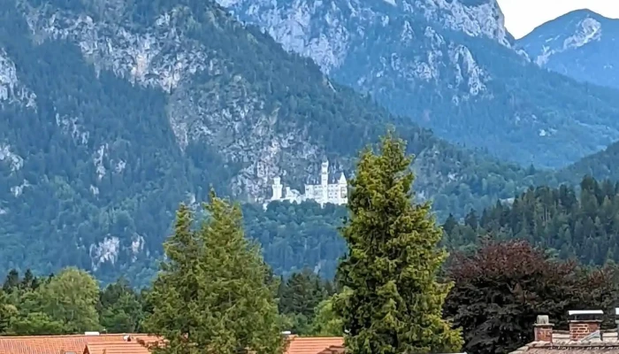 Ausblick auf Schloss Neuschwanstein - 87629 Füssen