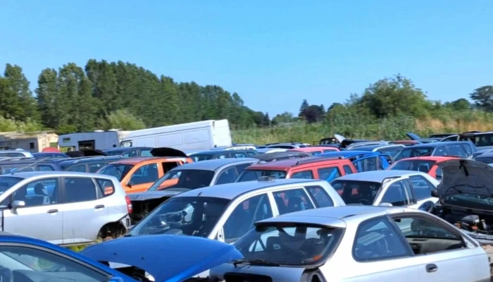 Autoverwertung Herrmann - Geestland