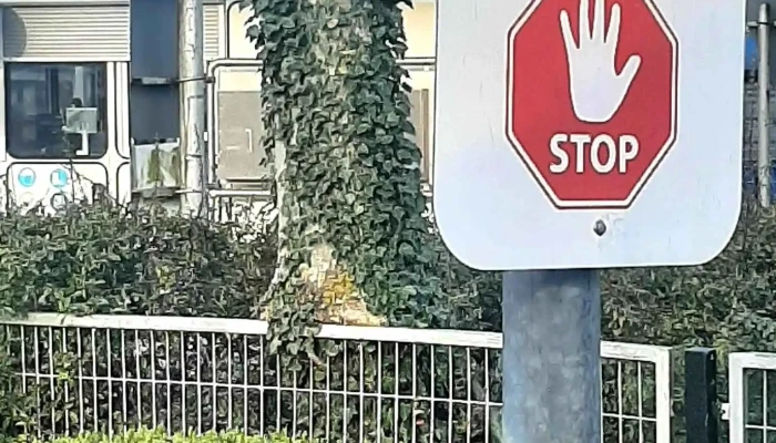 Avista Oil Deutschland Gmbh   Bereich Entsorgungsdienstleistungen Gebaude - Uetze