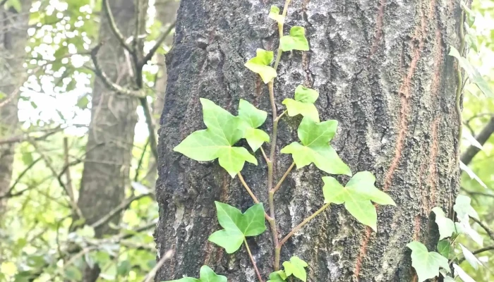 Bildungshaus Treenelandschaft - Eggebek