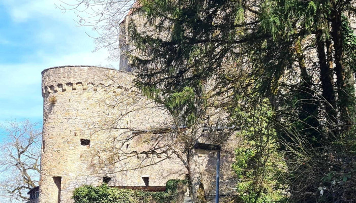 Burg Guttenberg -  Meinungen - Haßmersheim