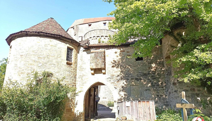 Burg Guttenberg -  Neueste - Haßmersheim