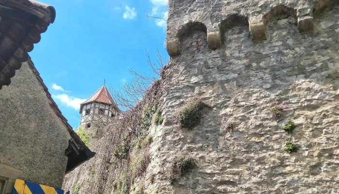 Burg Hornberg Burgbesichtigung -  Instagram - Neckarzimmern