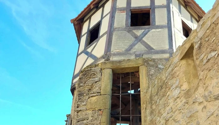 Burg Hornberg Burgbesichtigung -  Meinungen - Neckarzimmern