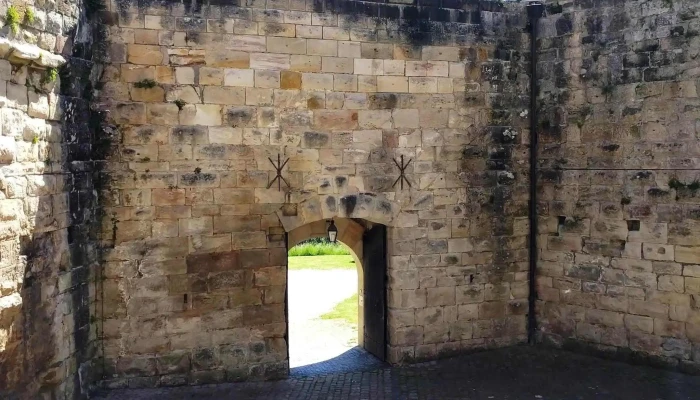 Burg Wascherschloss Rabatte - Birenbach