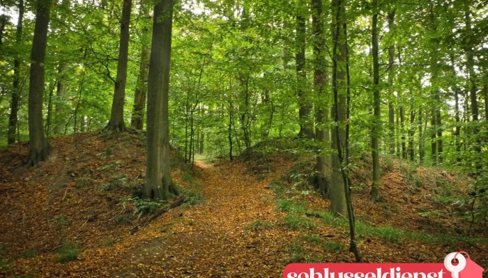 Burgwall Schlemmin -  Alle - Bernitt