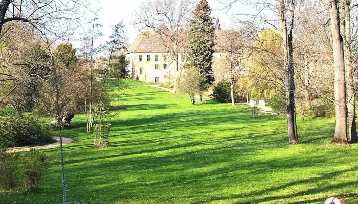 Dieskauer Park - Deutschland