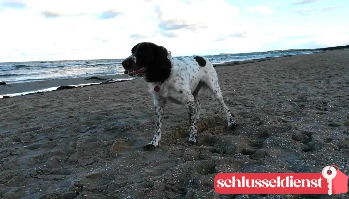 Dunencamp Karlshagen Videos - Karlshagen