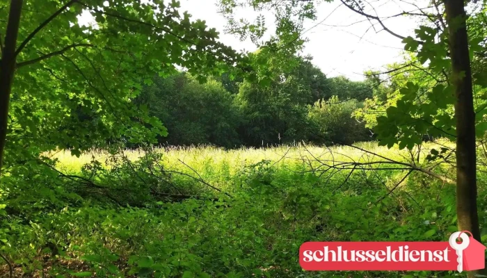 Ehemaliger Standort Lemförder Metallwaren - Stemshorn