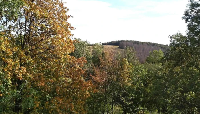 Ferienhaus Kofa 1895 -  Kommentare - St. Andreasberg