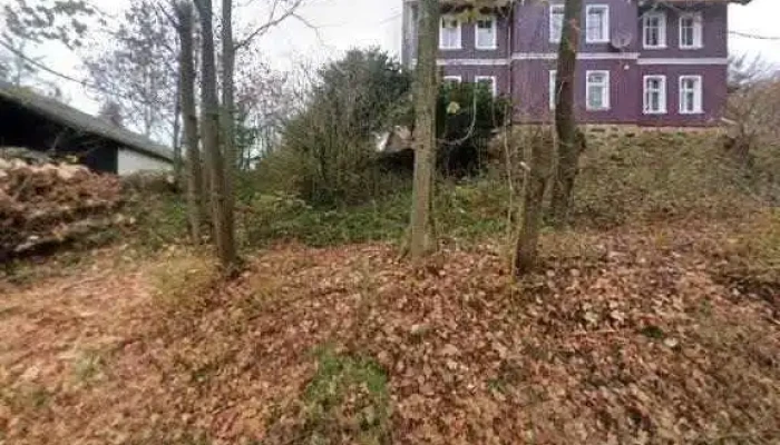 Ferienhaus Kofa 1895 -  Street View 360deg Fotos - St. Andreasberg