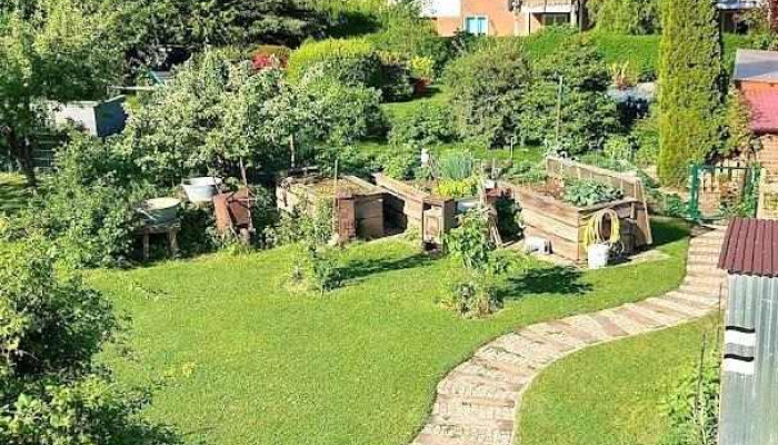 Ferienwohnung Alte Schmiede - Brigitte Pfannschmidt - Dassow