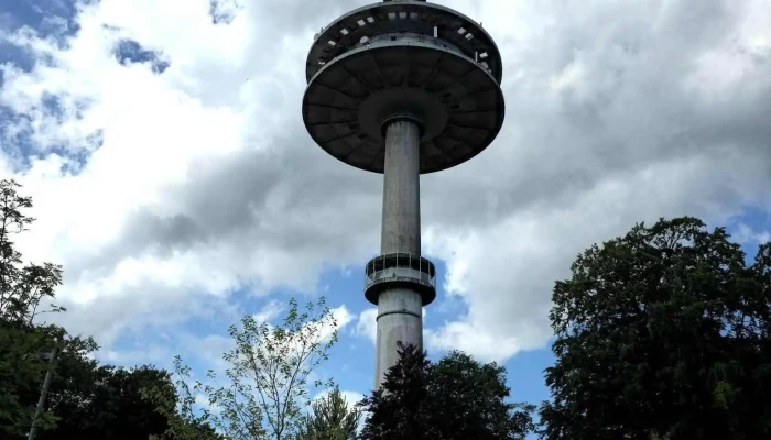 Fernmeldeturm Bungsberg -  Wald - Schönwalde Am Bungsberg