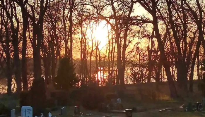 Friedhof Raben Steinfeld -  Videos - Raben Steinfeld