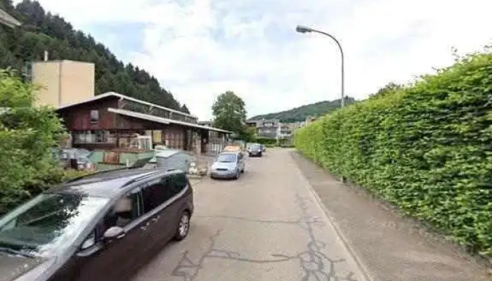 Geiges B Alle - Waldkirch