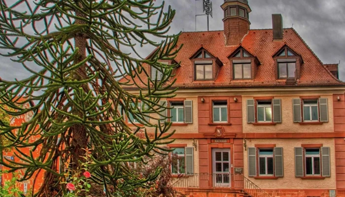 Gemeinde Neckargerach -  Rathaus - Neckargerach