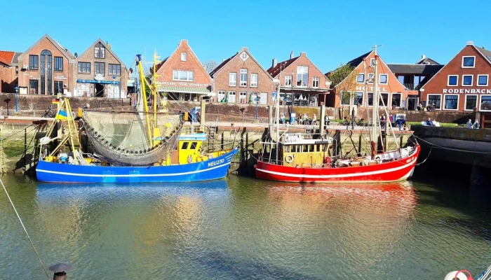 Hafen Neuharlingersiel -  Alle - Neuharlingersiel