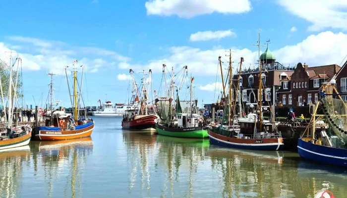 Hafen Neuharlingersiel -  Marina - Neuharlingersiel