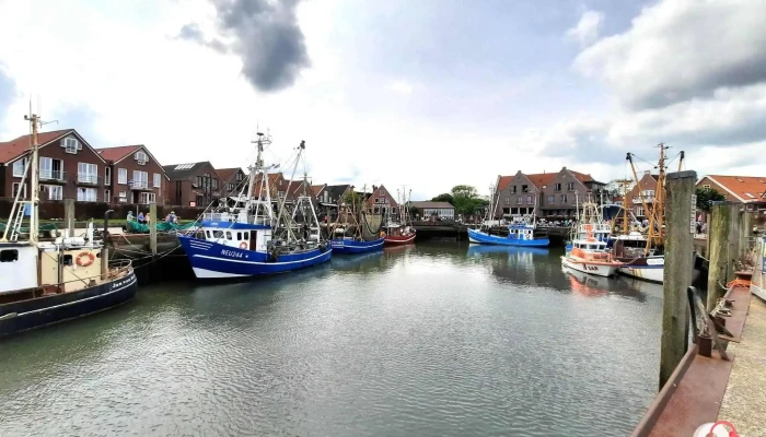 Hafen Neuharlingersiel -  Neueste - Neuharlingersiel