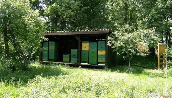 Imkerei Schlosser Sudwinsen Vom Inhaber - Winsen (aller)