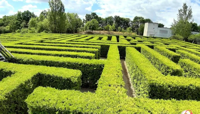 Irrgarten - 06648 Eckartsberga