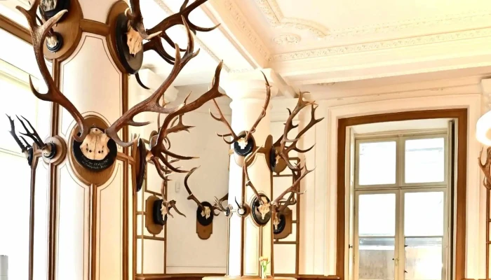 Ludwigsluster Schloss -  Cafe Adresse - Ludwigslust