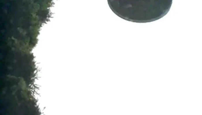 Lvv Landmaschinenvertrieb Vorharz Gmbh Videos - Haverlah