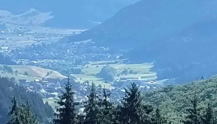 Matthias Neumaier Schmalzenhof -  Berg - Hofstetten