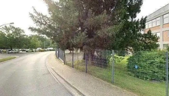 Metallideen Celle -      Sichtschutz Gartentore Zaune Street View 360deg Fotos - Celle