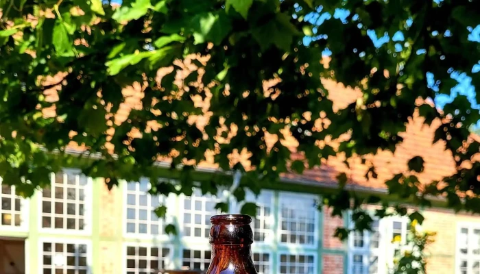 Orangerie Schlossgarten -  Aktion - Ludwigslust