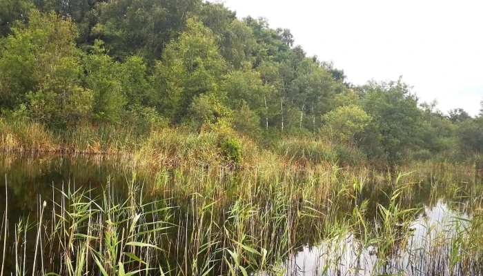 Pahlhuus -  Nummer - Zarrentin Am Schaalsee