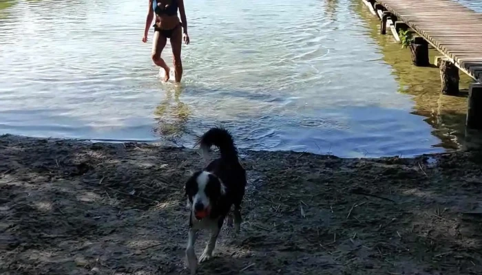 Pahlhuus -  Videos - Zarrentin Am Schaalsee