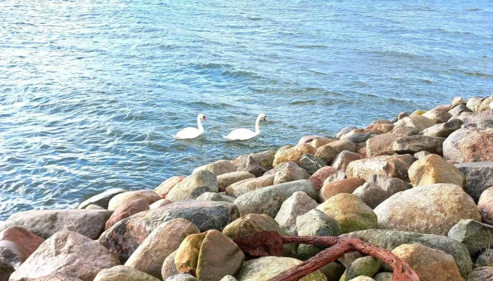 Parkplatz Am Hafen -  Bewertung - Glowe