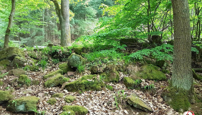 Rauberschlosschen Alle - Freudenberg