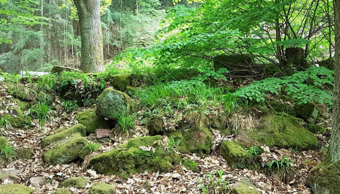 Rauberschlosschen Freudenberg - Freudenberg